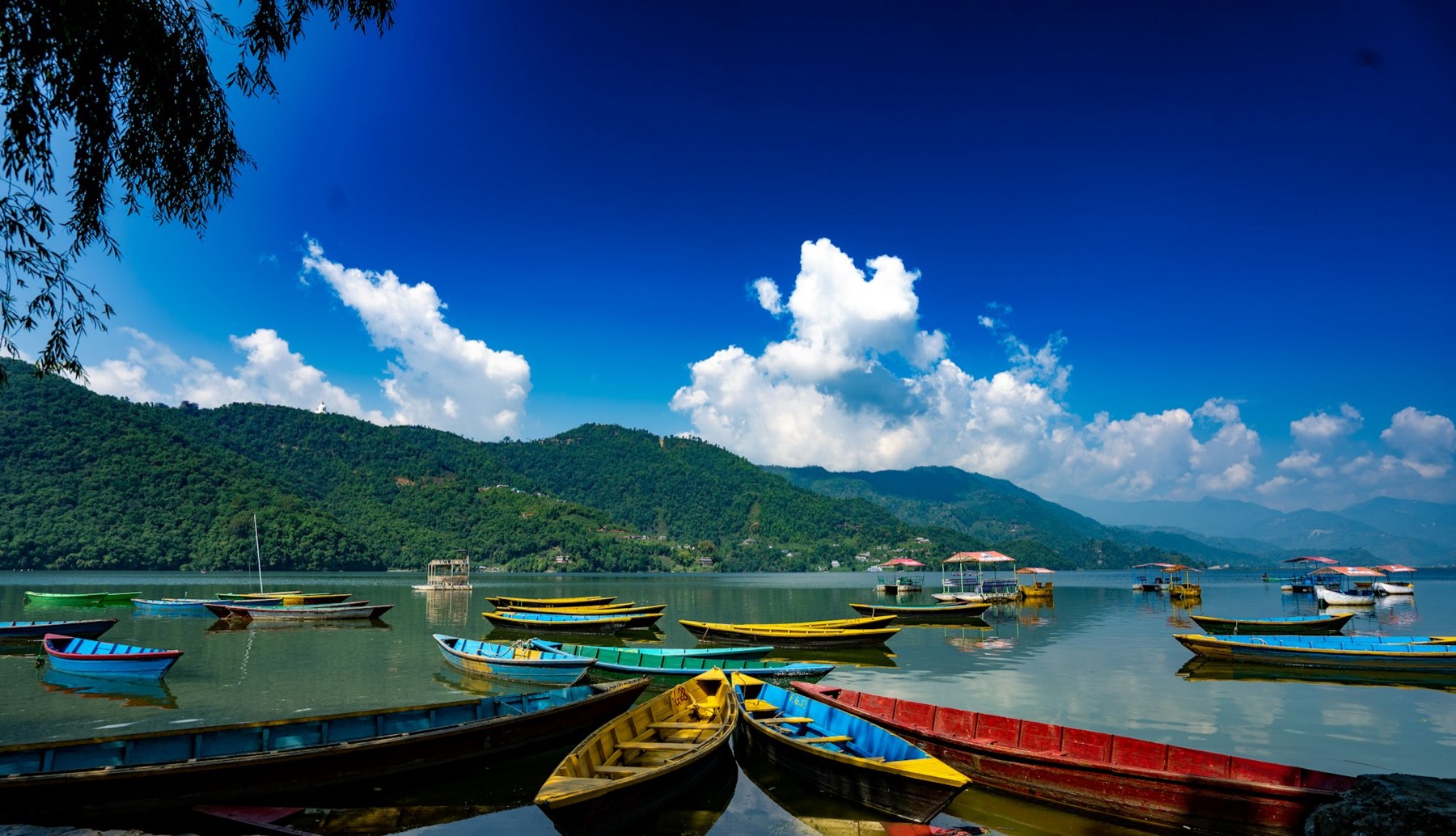 Colourful wooden boats on Phewa Lake in Pokhara, with forested hills behind them